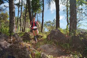 BIB: 
                            <button type="button" onclick="openModal(18940646)" class="btn btn-primary btn-sm float-right btn-popup" data-toggle="modal" data-target=".modal-high-quality">
                        <i class="fas fa-shopping-cart"></i> Add to Cart
                    </button>
                                            <button type="button" onclick="isThisMe(18940646, true)" class="btn btn-success btn-sm float-right btn-popup btn-isme hidden" data-toggle="tooltip" data-placement="bottom" title="นี่คือรูปของคุณใช่ไหม คลิกที่นี่เพื่อเอาเข้าอัลบั้ม">
                        <i class="fas fa-plus"></i> Add to album
                    </button>
                    <button type="button" onclick="isThisMe(18940646, false)" class="btn btn-warning btn-sm float-right btn-popup btn-isnotme hidden">
                        <i class="fas fa-ban"></i> Remove from album
                    </button>